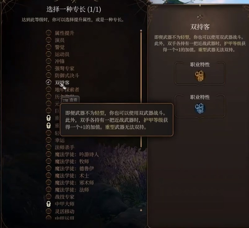 《博德之门3》术士各流派开荒构筑分享_伤害术士 - 第21张