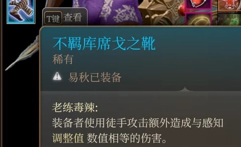 《博德之门3》前排武僧高伤构筑分享 - 第5张