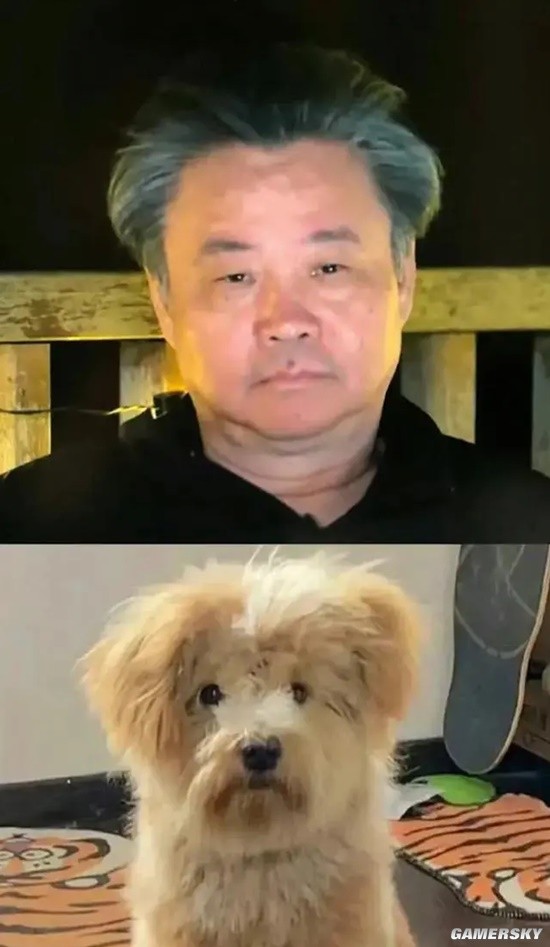 "Casual Canine" Applies for Trademark - Netizens Playfully Call Yu Hua "Casual Little Pooch"