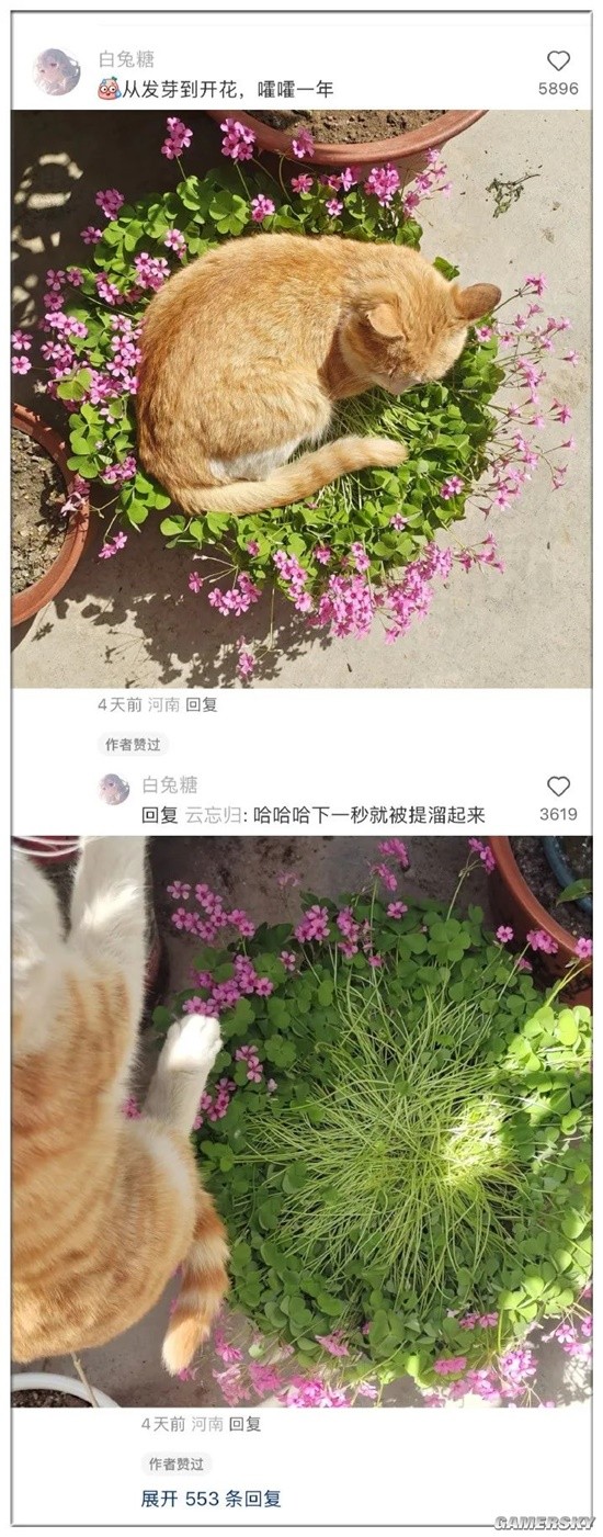 游民星空