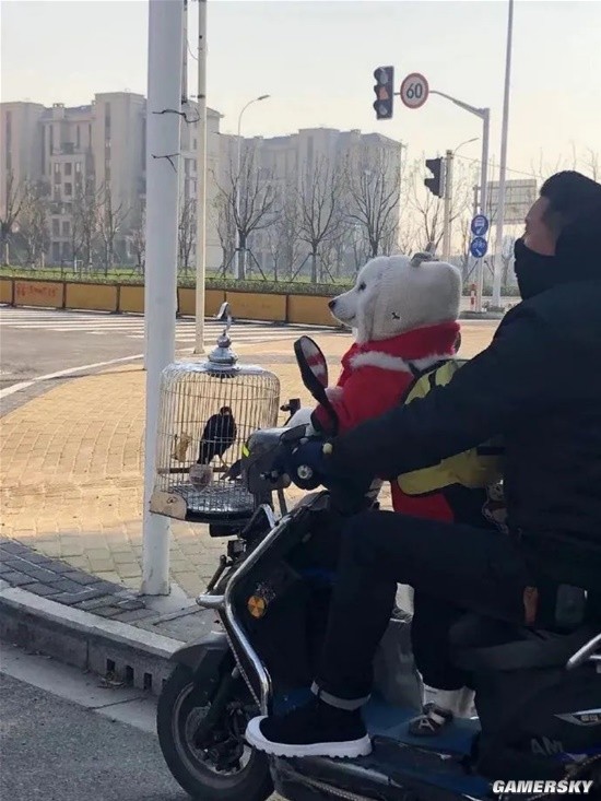游民星空