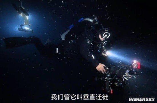 胡歌南海深潛撿回兩塊電池 親歷深海神秘奇觀