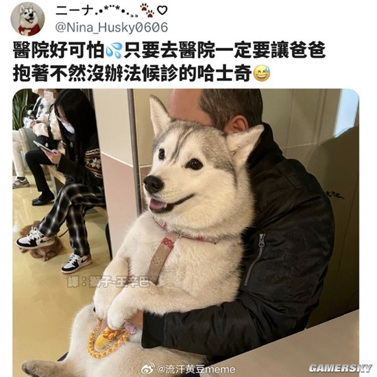 游民星空
