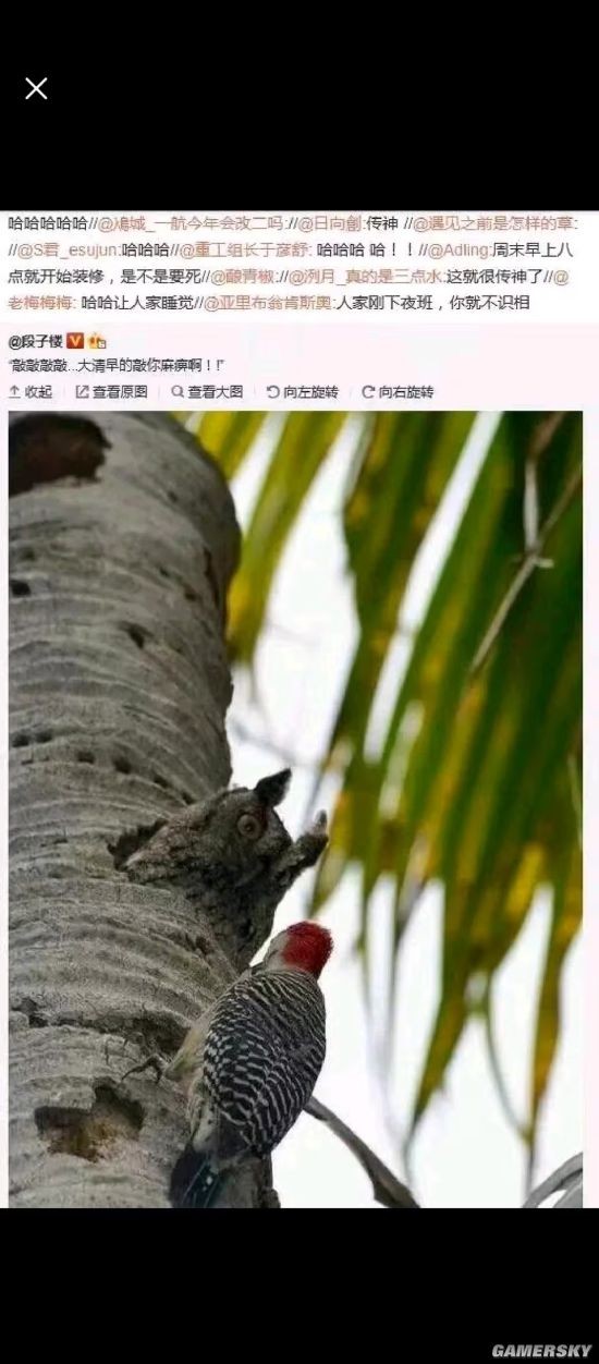 游民星空