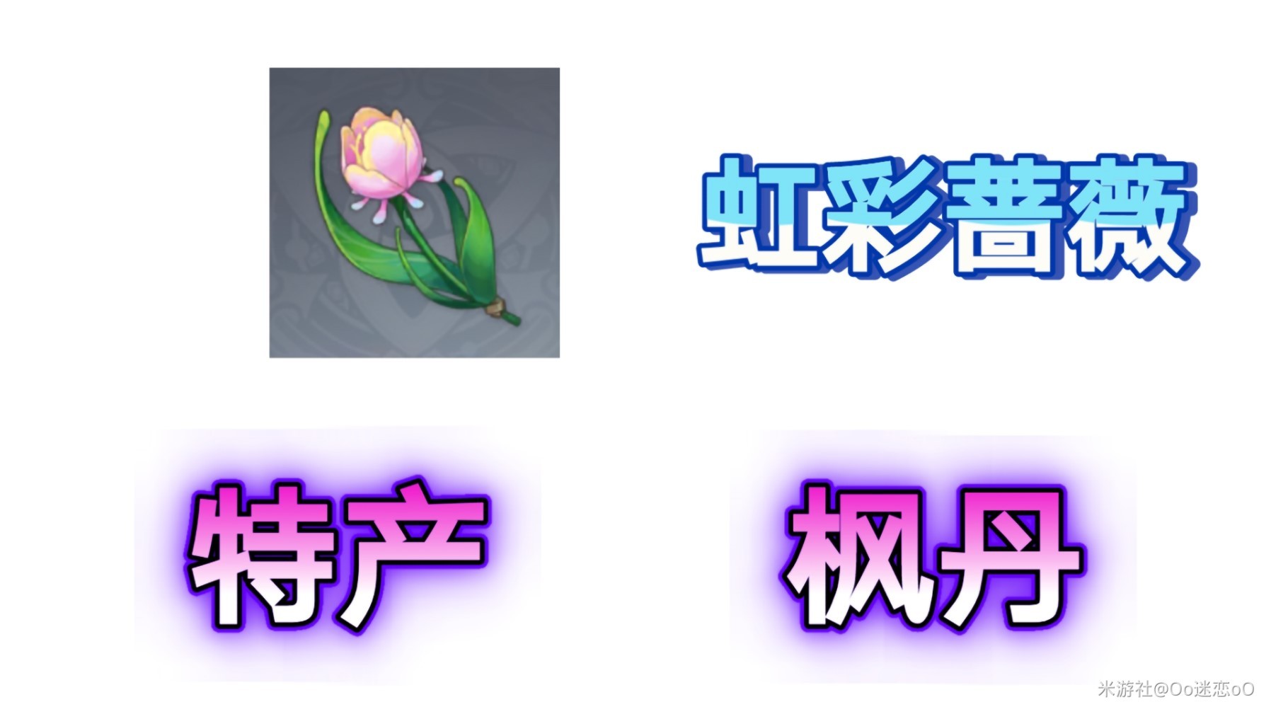 《原神》阿蕾奇諾突破材料虹彩薔薇採集路線 - 第1張