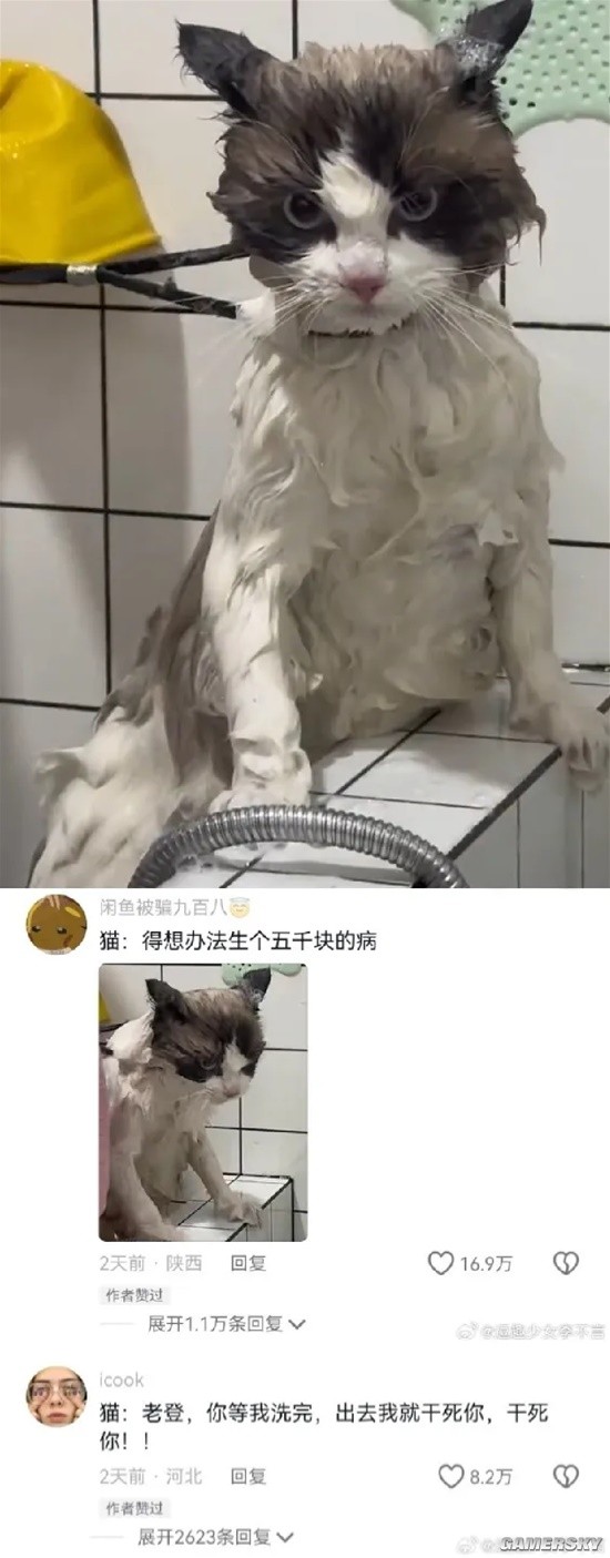 游民星空