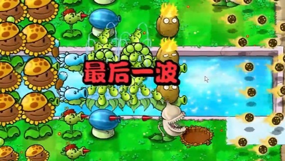 《植物大戰殭屍雜交版》冒險模式第14關攻略 - 第6張