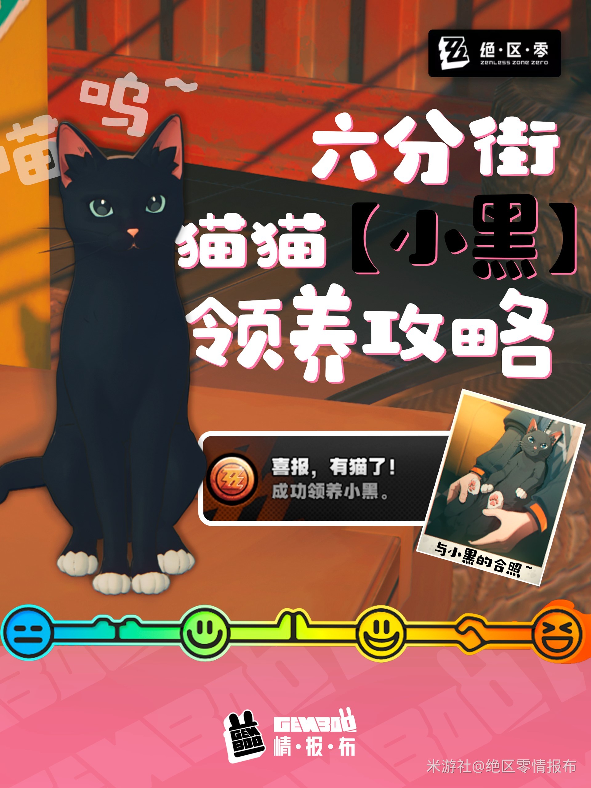 《绝区零》领养小猫攻略 六分街猫猫小黑收养教程 - 第1张