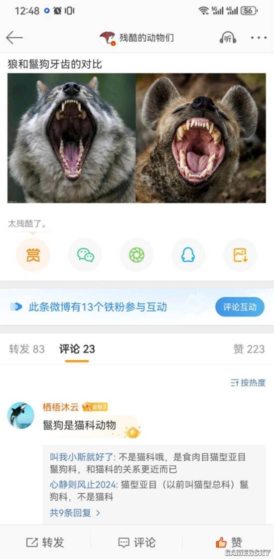 游民星空