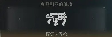 《戰錘40K星際戰士2》PVE全武器強度排名_遠程武器 - 第17張