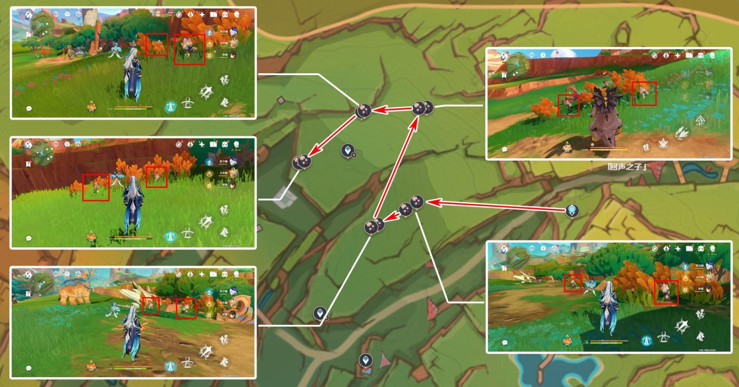 《原神》5.0肉龙掌采集路线推荐 肉龙掌位置一览 - 第3张