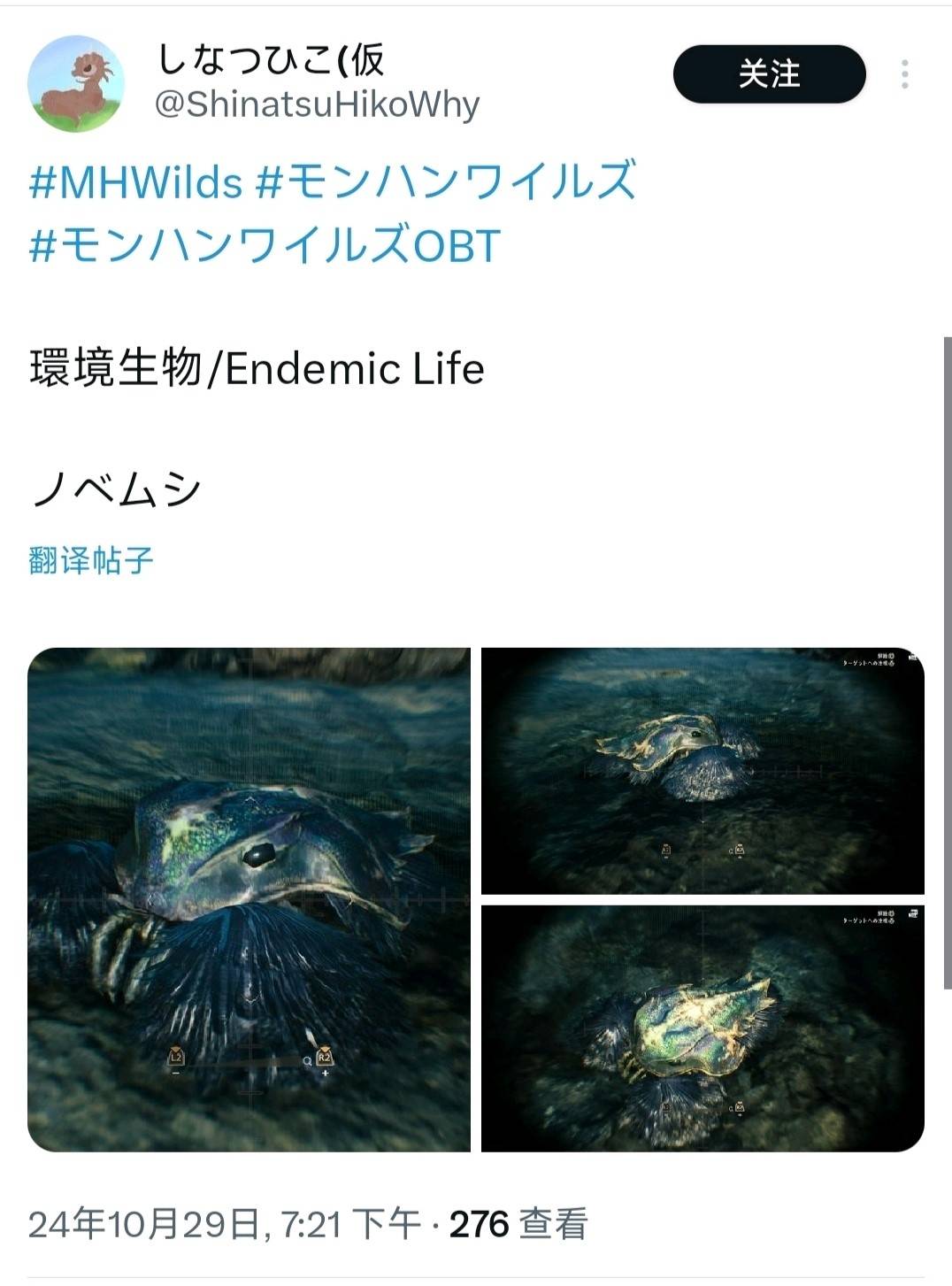 《怪物猎人荒野》天堑沙原环境生物一览_昆虫-清道夫虫 - 第4张