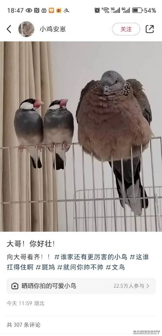 游民星空