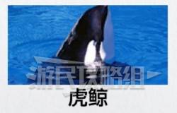 《如龙8外传夏威夷海盗》海洋生物博士证书考试正确答案一览 - 第2张