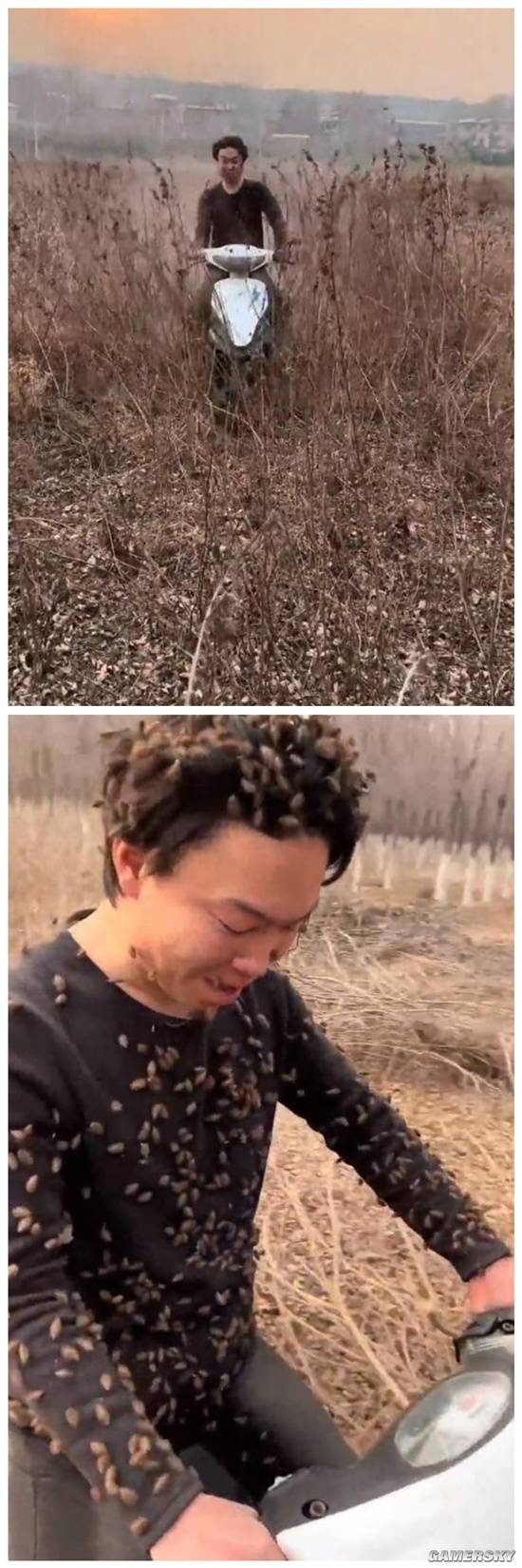 游民星空