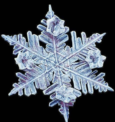 《光与影33号远征队》吕涅雪结获取方法 雪结属性及词条一览