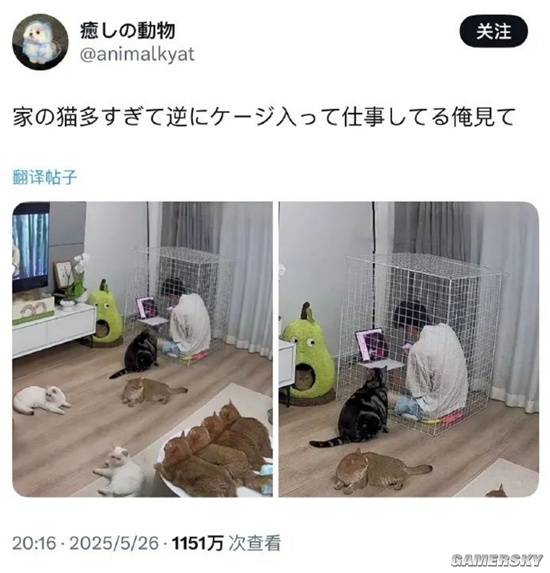游民星空