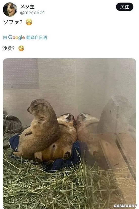 游民星空