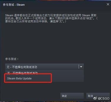 《CSGO》国服公告：防沉迷错误已修复 Steam客户端需切换至Beta版本