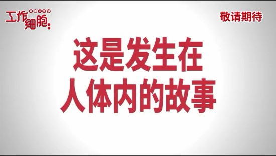 泡漫网