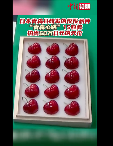 日本新品种樱桃拍出天价 “青森心跳”2000元一颗