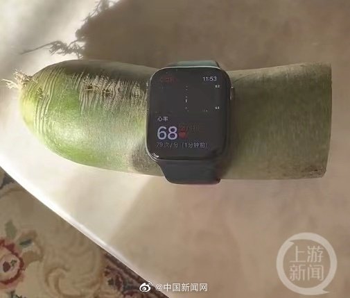苹果手表测出萝卜心率 客服：或为误判 不影响准确性