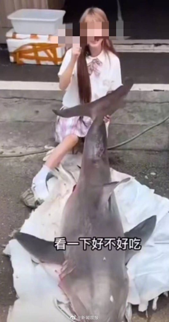 百万粉网红烧烤噬人鲨被罚12.5万：销售者已被捕