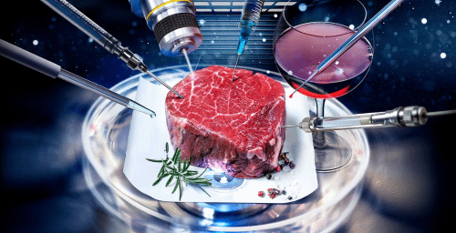 意大利立法禁售人造肉 卖人造肉或将被罚6万欧元