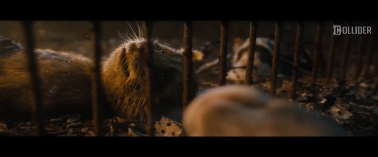 Don't use the little raccoon! "Silver Guard 3" New Movie Clips Reveal Rocket's Past