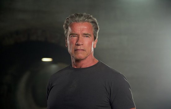 Schwarzenegger Discusses Death: Body Will Collapse, No Reunion After Death