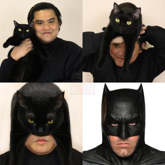 Low-Cost COS Flash and Batman: Cat's Displeasure