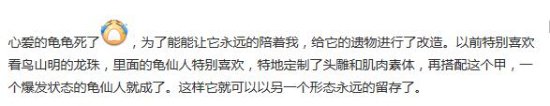 主人化愛寵烏龜為龜仙人手辦，永遠陪伴離世後的忠實夥伴