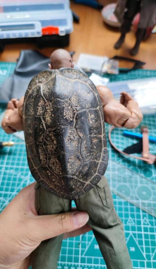 Owner Turns Beloved Turtle into Master Roshi Action Figure, Forever Accompanying Departed Companion