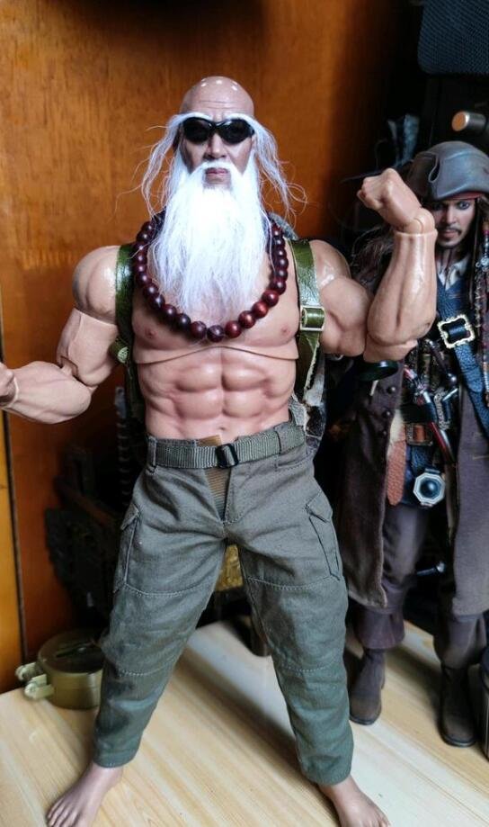 Owner Turns Beloved Turtle into Master Roshi Action Figure, Forever Accompanying Departed Companion