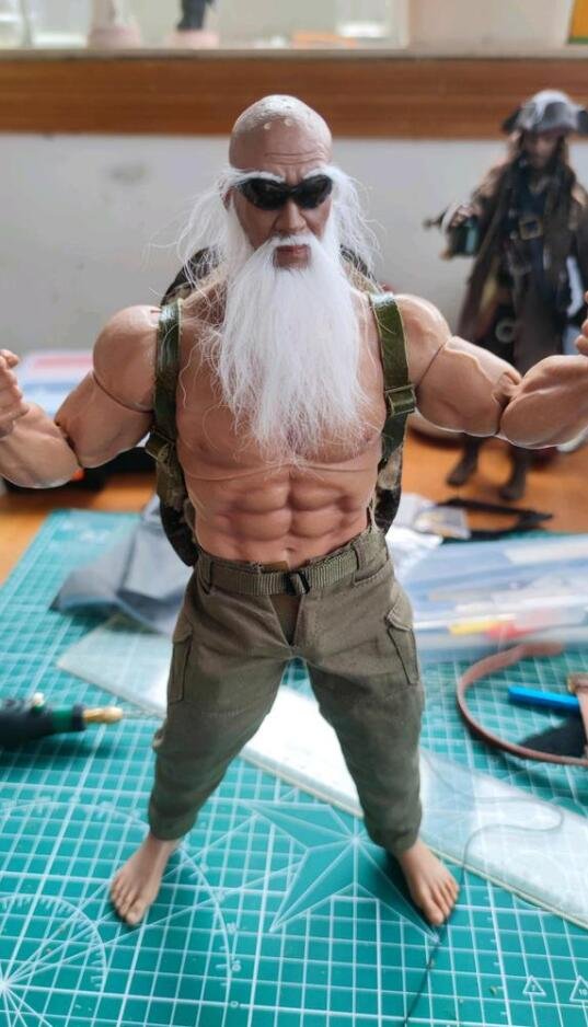 Owner Turns Beloved Turtle into Master Roshi Action Figure, Forever Accompanying Departed Companion
