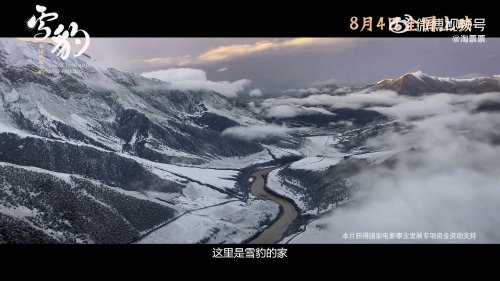 野性之地：雪豹與友伴終極預告，8月4日震撼上映