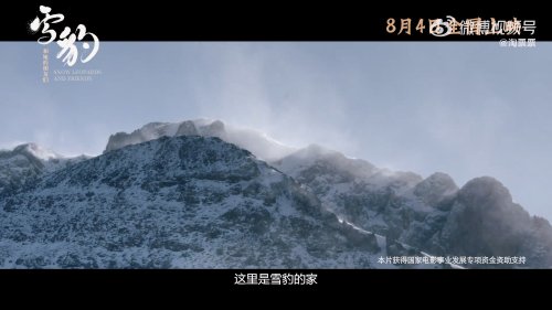 野性之地：雪豹與友伴終極預告，8月4日震撼上映