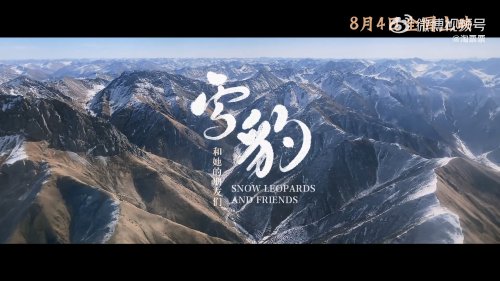 野性之地：雪豹與友伴終極預告，8月4日震撼上映