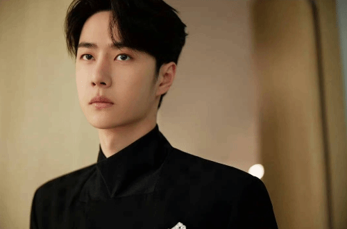 The Internet is Not a Lawless Realm! Wang Yibo Files Lawsuit Against Online Harassment and Defamation
