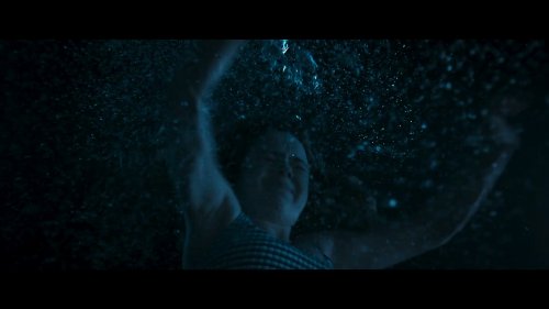 "Produced by Wen Ziren - "Dark Swim" Trailer Unveiled: New Home, Swimming Pool, Thrilling Events"