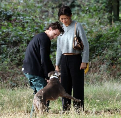 "Creation of the Gods" Stars Zandaya and Tom Holland Spotted Walking Their Dog Together, Radiating Happiness