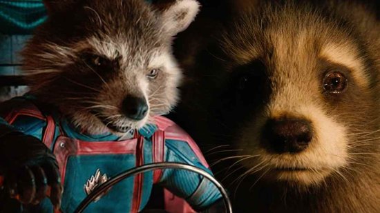 Passing of Rocket Raccoon's Creator: Farewell with a Whimsical Blog