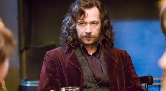 Gary Oldman Dissatisfied with His Portrayal of Sirius: Regrets Not Reading the Original Work