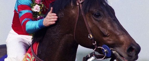 《赛马娘》原型冠军马去世：享年25岁