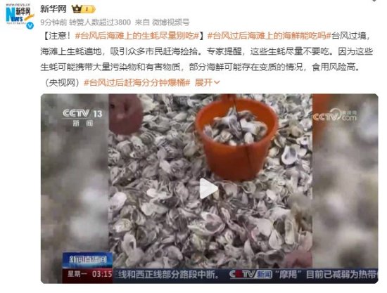 台风过境后海滩上的生蚝捡不完？专家：尽量不要吃