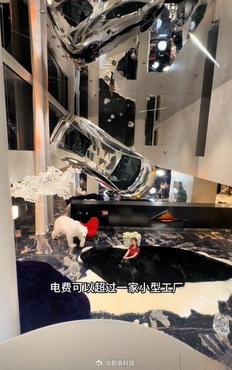 本站