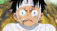 版权时代后 鼠绘君与海贼王的故事有了结局