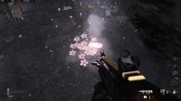 子弹出膛的刹那 是樱花飞散的时刻！COD16杂谈