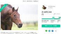 《赛马娘》效应？日本33岁退役赛马收到巨额捐款