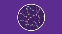 一块硬盘都存不完的电影，未来能直接刻进你的DNA?